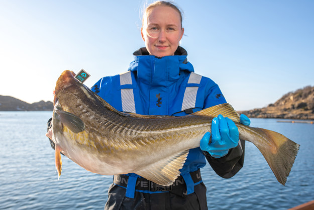 Agnete Skog Skårvågen