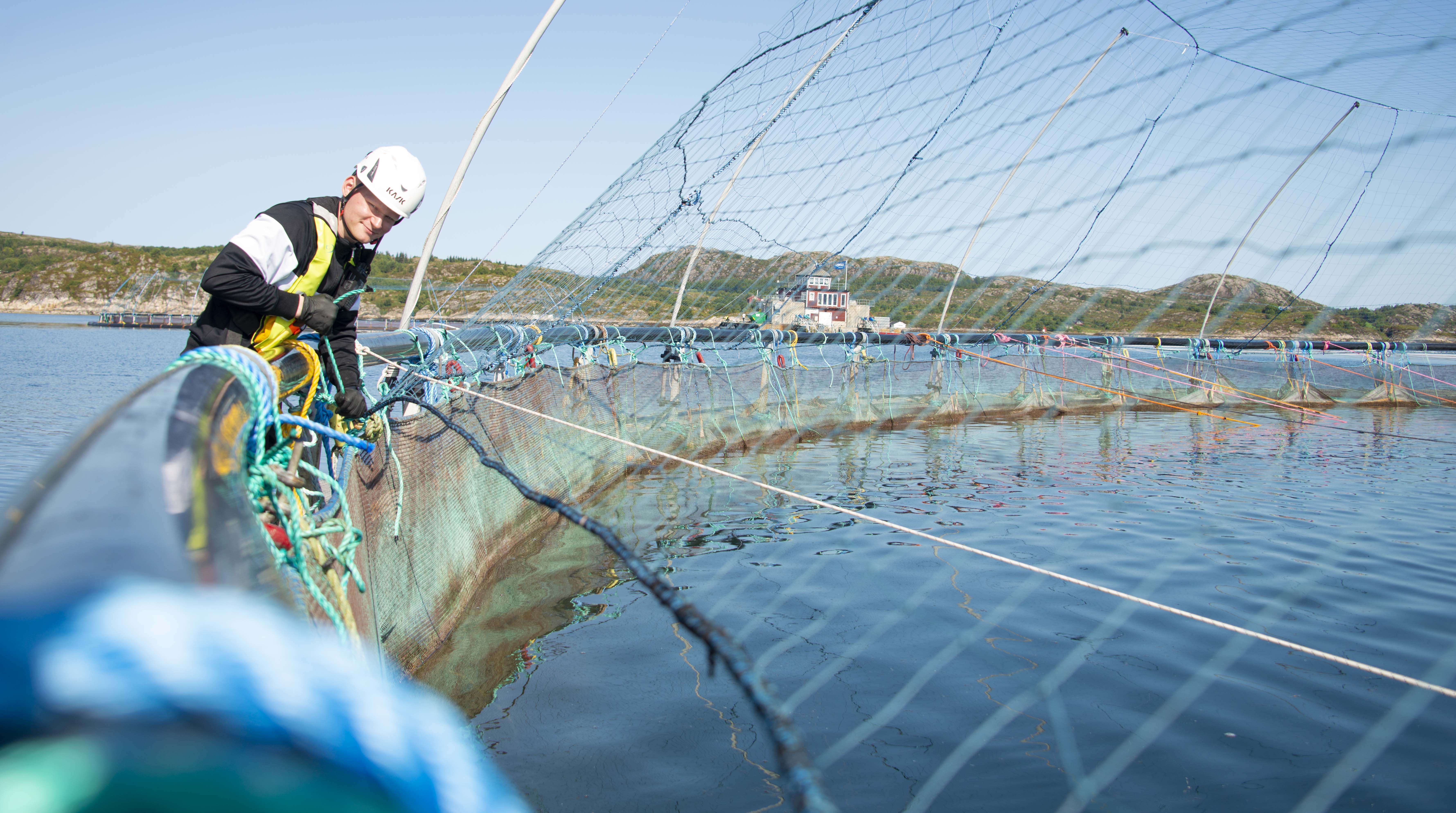 Employee at the fish cages 